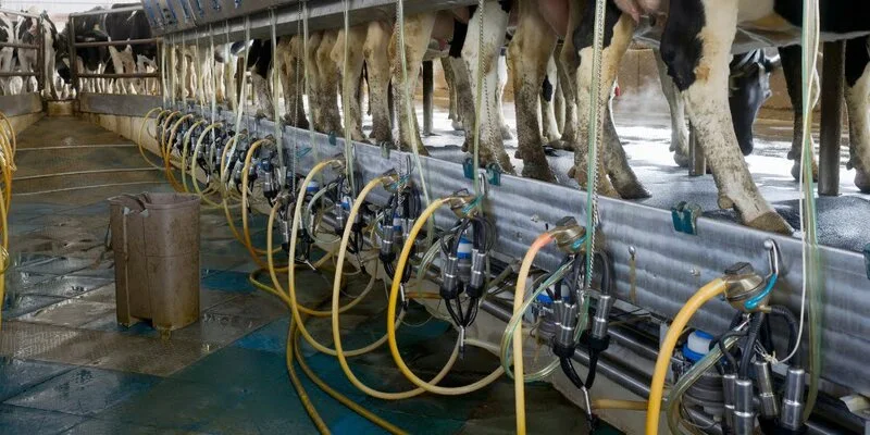 Emploi dans une ferme