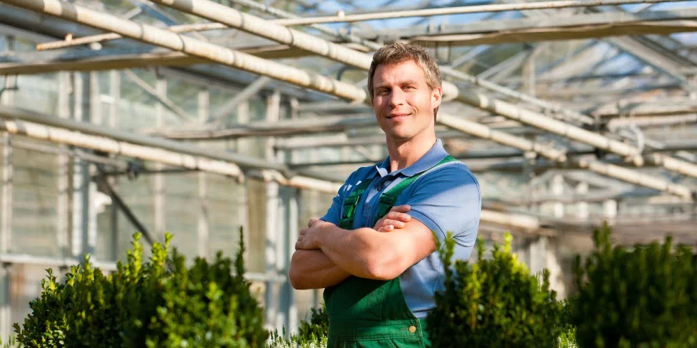 Emploi producteur légumes